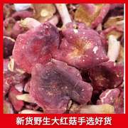 新货纯野生红菇伏牛山特产大片开伞红菇一斤全干质量保证