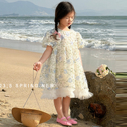 女童韩版短袖公主裙2023夏装，宝宝洋气花朵，裙子儿童时尚连衣裙