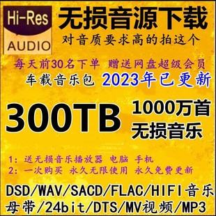 dsd无损音源hifi音乐包wavflacdts5.1声道车载mv视频mp3下载