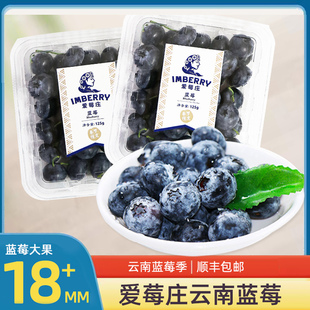 爱莓庄云南山地蓝莓，鲜果大果当季限量脆甜现摘带枝蓝莓水果