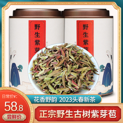 2023新茶正宗野生古树紫芽苞大雪山紫芽孢普洱茶生茶散茶春茶盒装