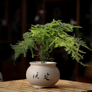 中式小花瓶花盆植物禅意陶瓷桌面摆件家居客厅创意茶道茶艺装饰品