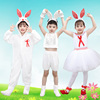 儿童小兔子动物服演出服幼儿园女童，男童舞蹈服小白兔卡通表演服装