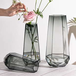 高级感ins风玻璃花瓶透明水养插花瓶鲜花，玫瑰百合花客厅摆件欧式