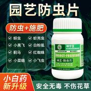 园艺防虫片家庭植物盆栽防虫颗粒月季蔬菜除害虫养花卉土壤驱虫片