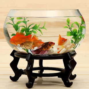 玻璃鱼缸圆形透明生态创意鱼缸客厅，桌面加厚玻璃，鼓缸金鱼缸(金鱼缸)