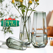 创意简约ins玻璃花瓶透明水养，富贵竹百合干鲜花插花北欧网红花瓶