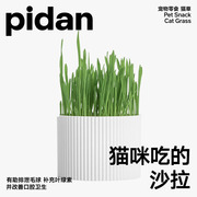 pidan猫草种植套装去毛球化毛猫草猫薄荷小麦种子猫零食猫咪盆栽