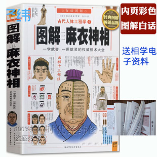 正版彩图古代人体工程学白话《图解麻衣神相》相术学权威书籍宋麻衣道者金志文(金志文)译注麻衣相法大全古书相书男女手相面相术数译文