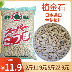 植金石日本进口兰花专用植料君子兰萨摩土兰花石多肉颗粒土