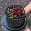 巴芙客杜夫朗格男士创意酷黑莓水果生日蛋糕七夕节蛋糕北京