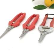 园艺用品摘桔子剪，采果剪翘头弯头西红柿番茄，橘子采摘剪工具水