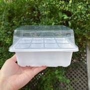 急速6孔12孔塑料育苗盒箱穴盘育苗块保温保湿育苗钵培育盒