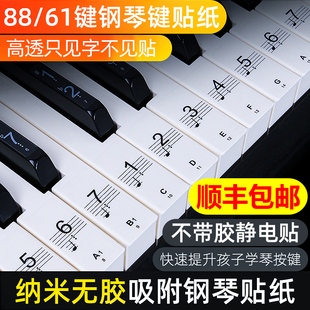 886154键，儿童成人钢琴电子琴键盘贴纸，无胶透明贴五线谱简谱自学