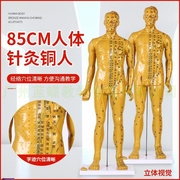 铜色清晰经络通针灸铜人，中医人体穴位模型针灸，人模80.cm针灸铜