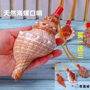 天然海螺号角可吹喇叭口哨，超大贝壳哨子儿童玩具，哨小螺号能吹响的