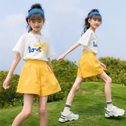 韩版夏季花朵3岁套装女童，夏季两件套棉短袖，短裤休闲运动24年