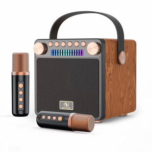 手提蓝牙音箱YS601双无线麦克风户外便携RGB插卡音响手机K歌