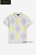 Next英国男童大童亲子灰色紫色格子POLO衫半袖T恤针织A21-937