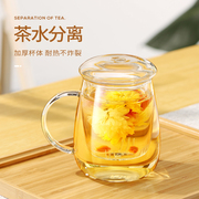 物生物玻璃杯女生泡茶水杯，高颜值茶水分离个人，专用耐热绿花茶杯子