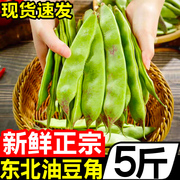 东北油豆角5斤黑龙江新鲜现摘蔬菜一点红油，豆角九月青整箱10