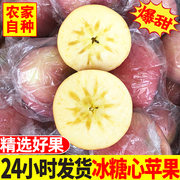 冰糖心苹果红富士丑苹果新鲜水果当季整箱5斤山西应季平果10