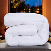 白色美容床罩专用单人丝棉被芯床垫床单批