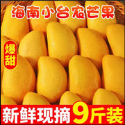 海南小台农芒果 现摘小台芒应季热带水果特产当季时令芒果