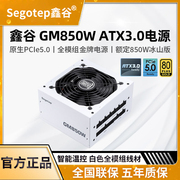 鑫谷GM750W/850W/1000W冰山版白色电脑台式机金牌全模组静音电源