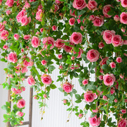 仿真玫瑰花网红瀑布墙壁假花空调管道装饰花，藤条遮挡门头塑料藤蔓