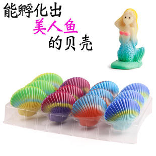 泡水膨胀会变大可孵化出美人鱼海洋，动物的扇贝壳儿童创意盲盒玩具