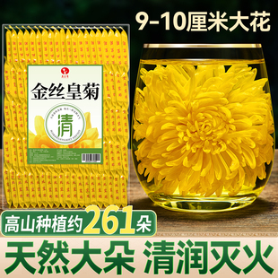 菊花茶金丝皇菊大黄菊一朵一杯贡菊花茶枸杞非特级