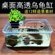 乌龟缸水陆带晒台塑料盆小型桌面鱼缸免换水亚克力爬虫饲养盒透明
