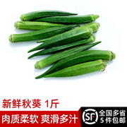 绿食者 秋葵500g 新鲜蔬菜沙拉食材 水果黄秋葵 六角羊角豆