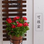 高档支墙上壁挂花架阳架台装饰爬藤架布置q室内花支植物花架