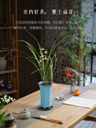 细叶寒兰国兰中式桌面高端兰花盆栽，带盆栽好客厅书房茶室盆景植物