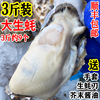 3斤装生蚝鲜活牡蛎海蛎子连云港海贝类海鲜烧烤送具调料包
