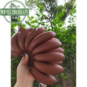 红美人香蕉5斤新鲜红皮芭蕉水果，自然熟10红色香甜香焦福建漳州