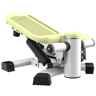 雷克（LEIKE）踏步机多功能迷你家用静音甩脂扭腰脚踏机踩踏健身