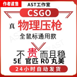 CSGO5e压宏丸美b5通用鼠标宏STEAM自动识别罗技雷蛇宏起源2编程