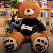 泰迪熊猫公仔抱抱熊女孩毛绒玩具布娃娃可爱大号超大熊特大号狗熊