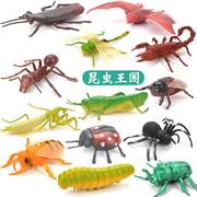 儿童昆虫玩具塑胶仿真动物，模型蜘蛛蝴蝶，蜜蜂蜈蚣蚂蚁大小摆件套装