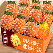 海南金钻凤梨水果当季新鲜大个手撕凤梨，菠萝10斤整箱树上熟甜