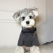 狗狗衣服夏季小型犬泰迪博美衣服薄款雪纳瑞宠物T恤网红狗狗衣服