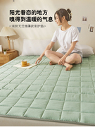 天竺棉床垫软垫家用薄款防滑垫褥宿舍垫被四季可用可机洗双人垫子