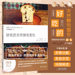 好吃的天然酵母面包 烘焙术系列 齐藤知惠著 天然发酵面包的实用指导书 面包的发酵方法 山形葡萄面包 中国农业出版社
