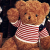 正版泰迪熊大号毛绒玩具熊猫，公仔抱抱熊玩偶布娃娃，生日礼物送女友