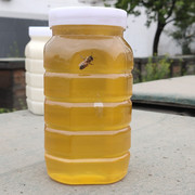 纯正蜂蜜天然油菜蜂蜜结晶，蜂蜜500g纯蜂蜜原蜜农家自