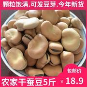 新货干蚕豆5斤 新鲜散装生蚕豆罗汉豆胡豆干货可发芽油炸蚕豆小吃