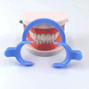 牙科材料一次性开口器C型M型带柄扩口器可高温消毒冷光美白专用